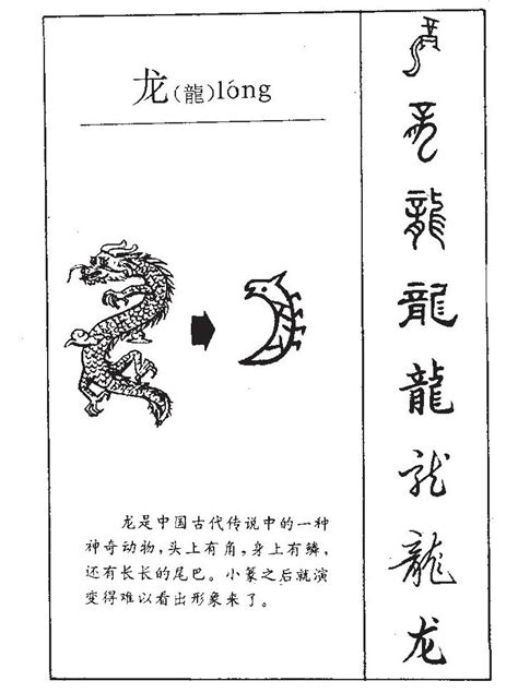 龙字五行属什么